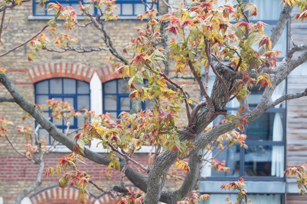 Apartamento Bridge In Southwark