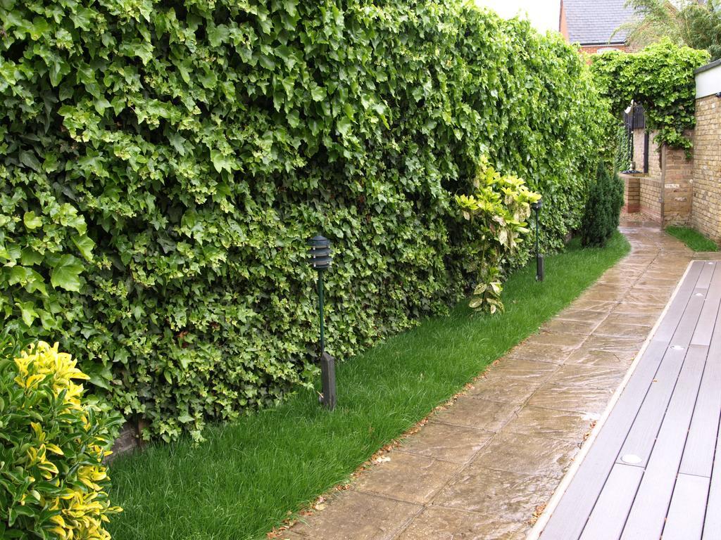 Hotel Western Chiswick Palace&suites London