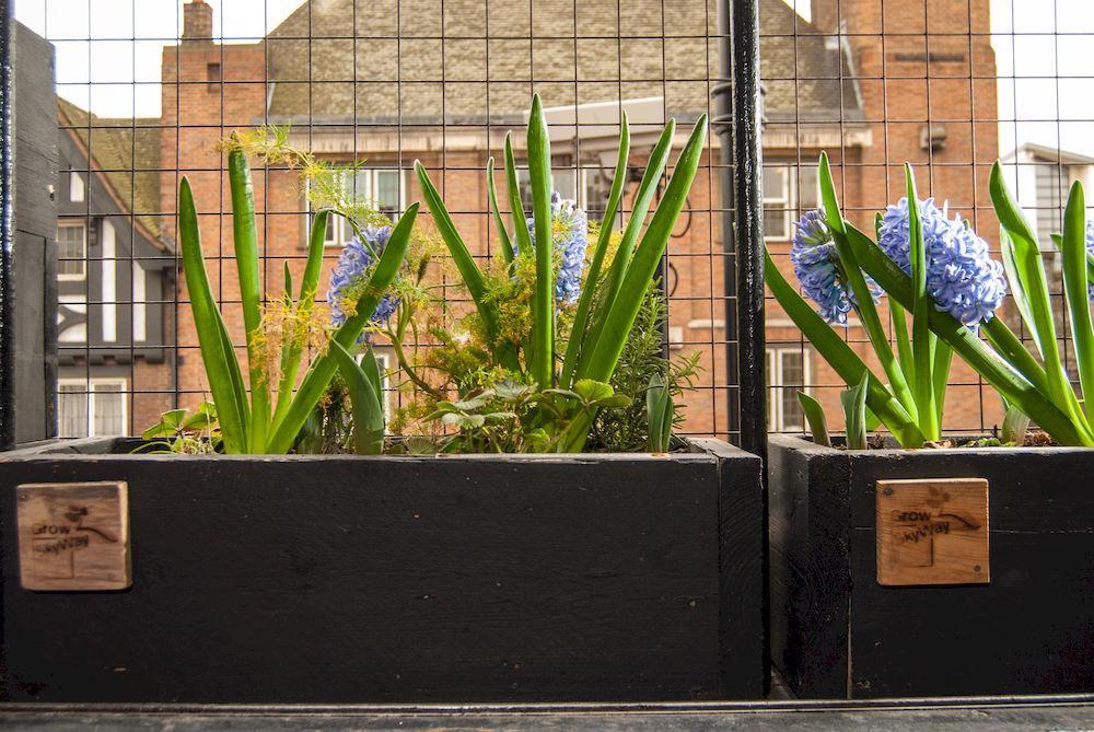 The Dictionary Hostel, Shoreditch, Albergue Londres
