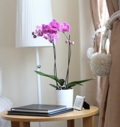 Kings Cross In Central Apartment *