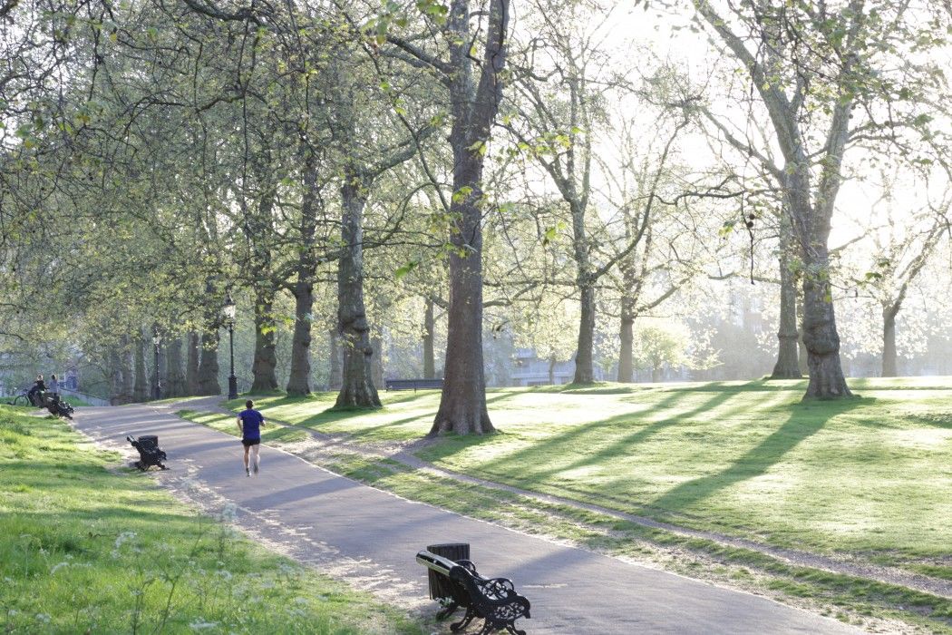 The Athenaeum & Residences London