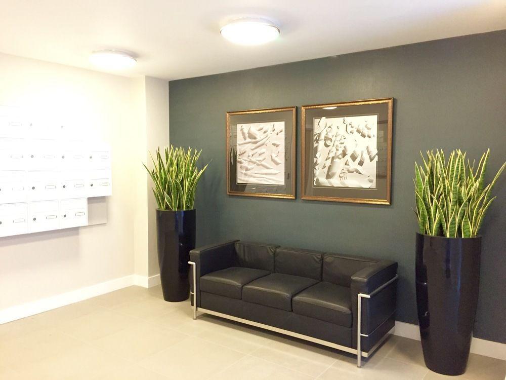 Belvedere Waterloo Apartments Apartment