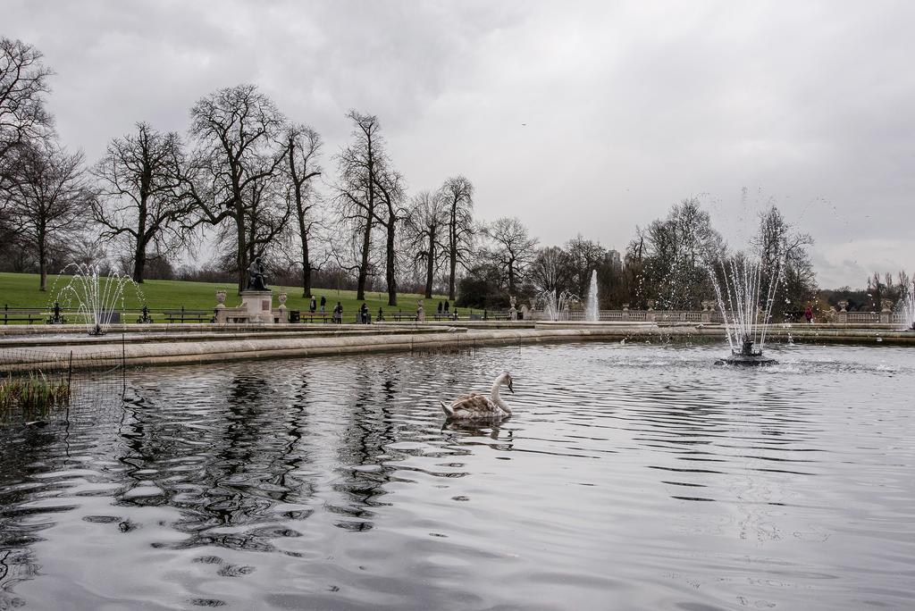 Hyde Park Terrace