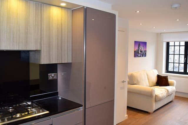 Kings Cross 3/apartment London
