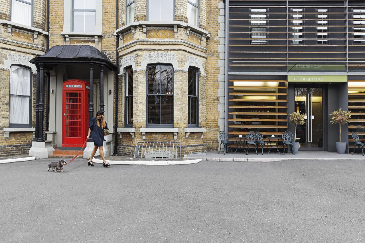 The - Putney
