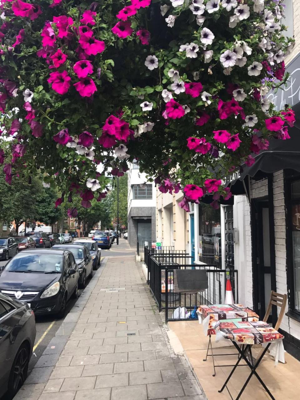 Stunning Studio * London