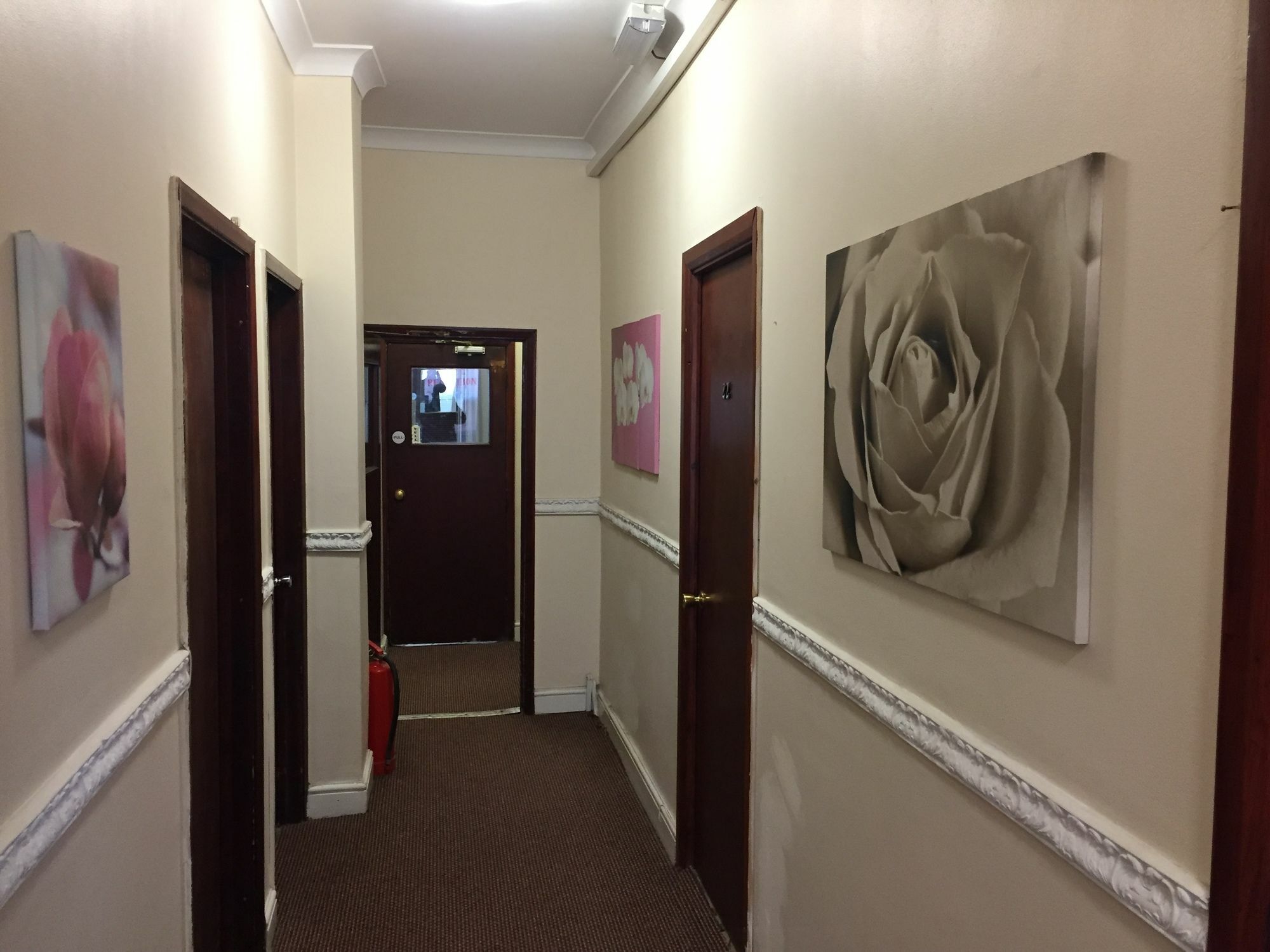 Hotel Shelton Hotel, Finsbury Park London