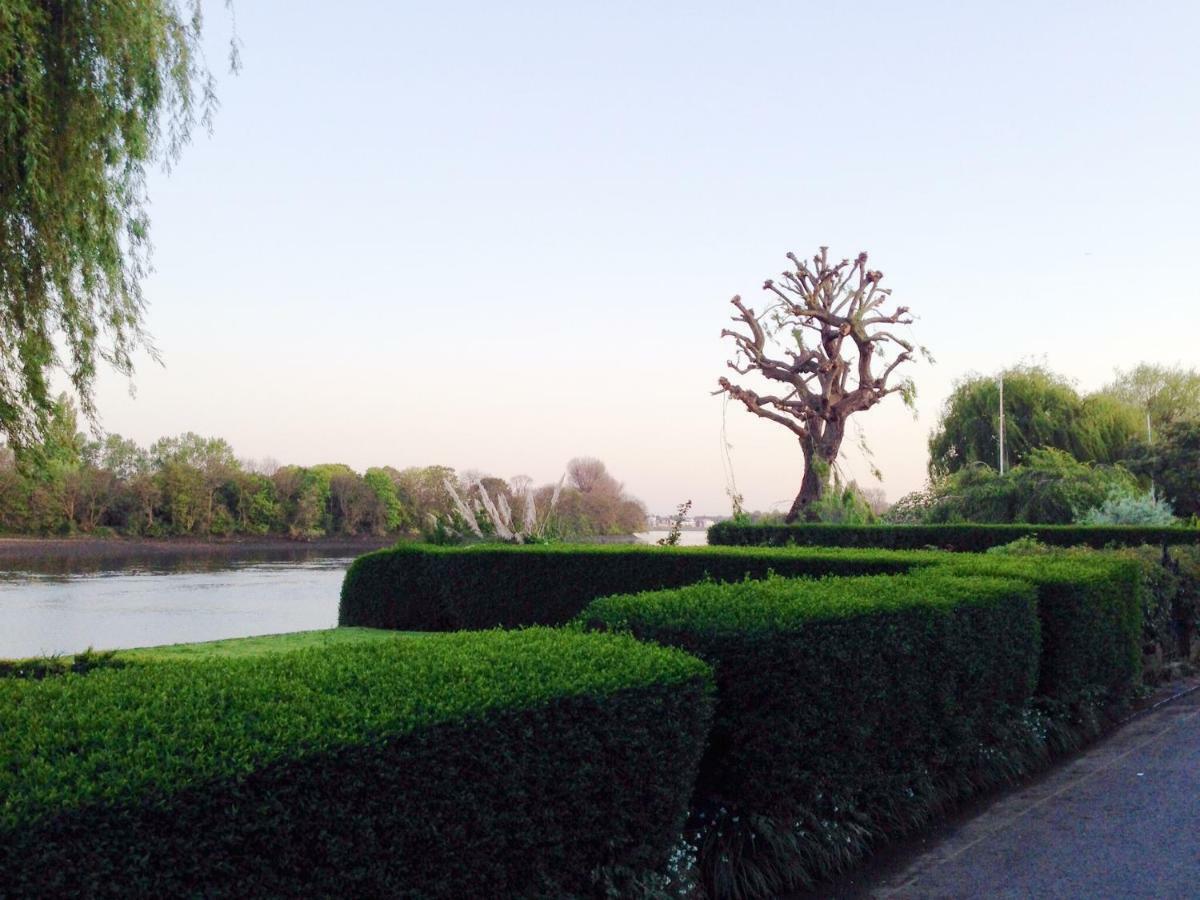 Muse Haus Riverside Londres