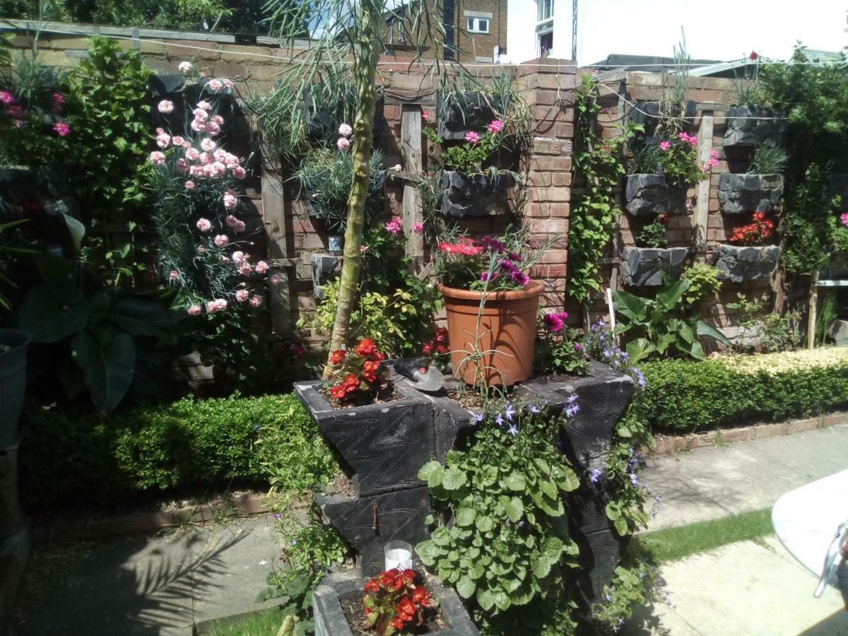 Pedro Bed & Breakfast 3*