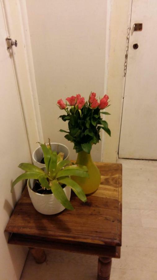 Prospect Hill Homestay