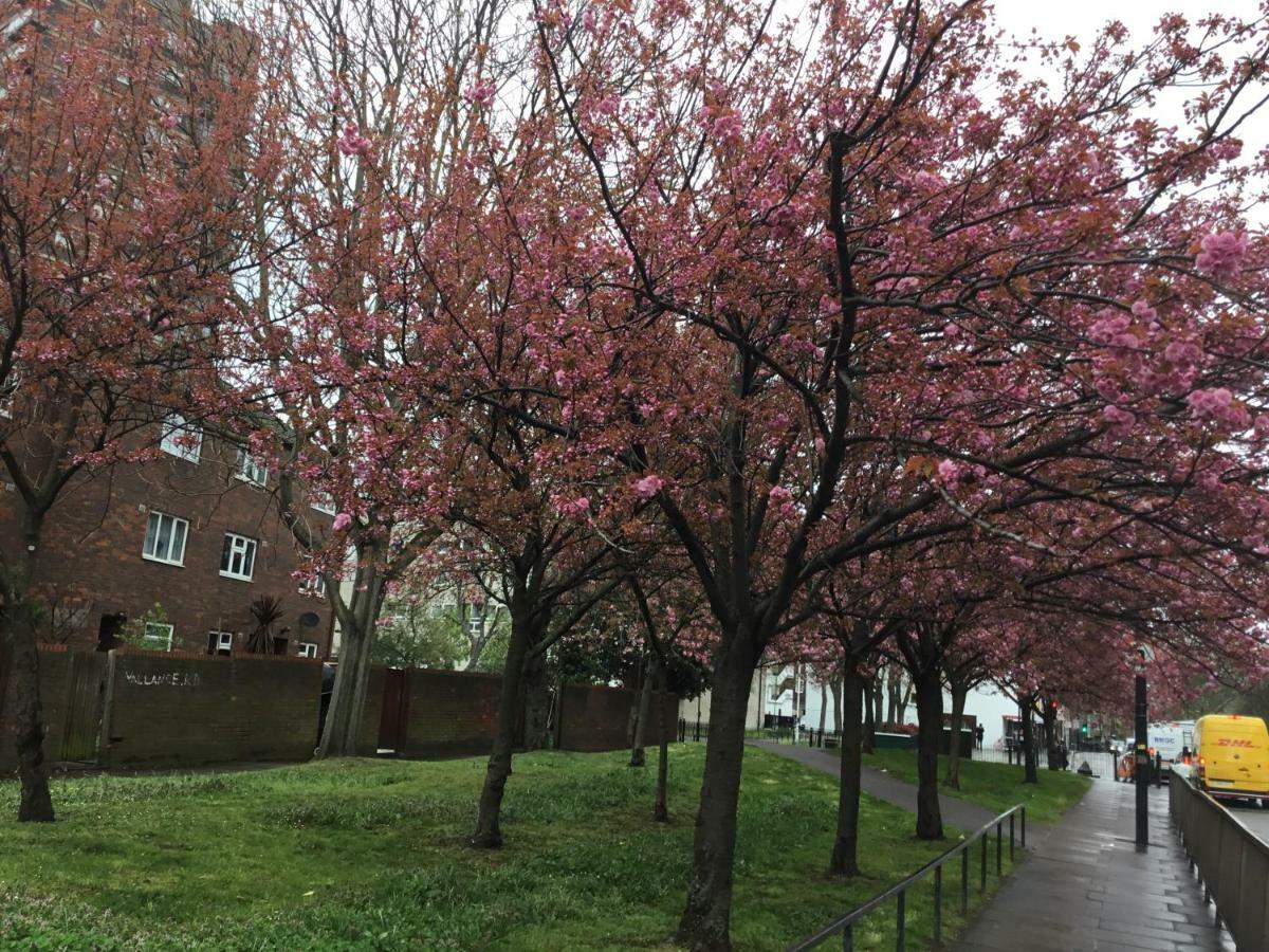 Al Iram Casa de hóspedes Londres