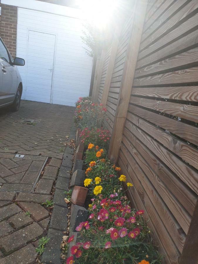 Private Extension With Bathroom And Kitchen Londres