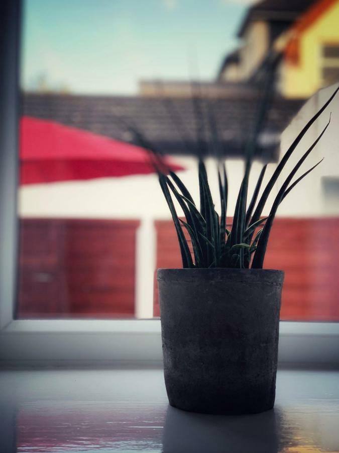 Paul's Place Near Heathrow Apartment *