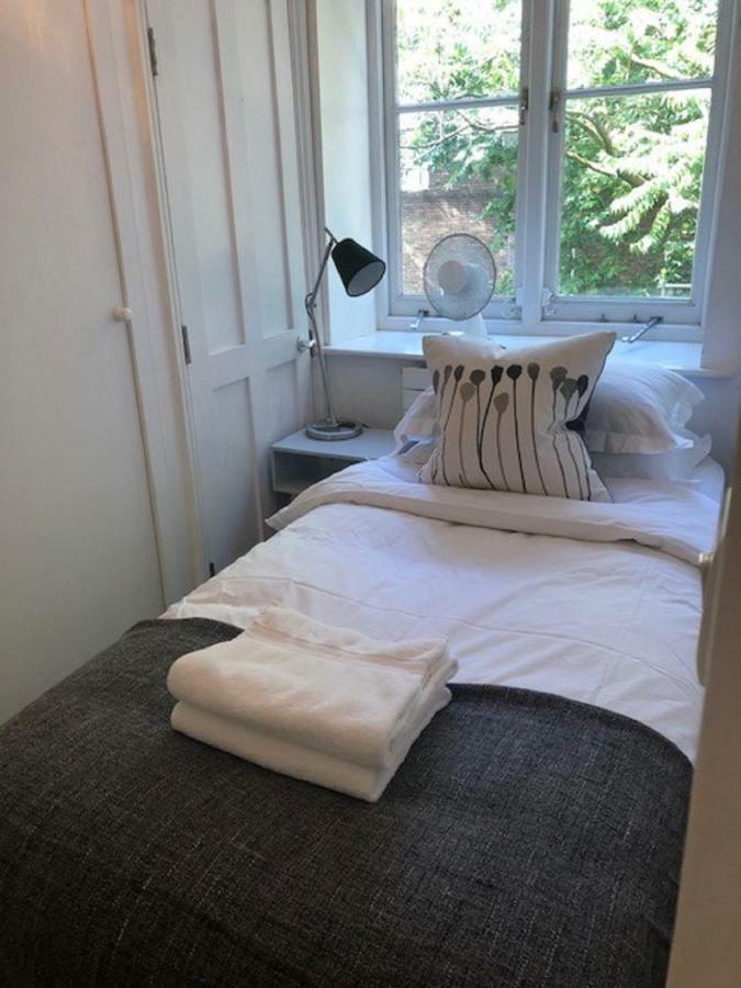 Acorn - Gower Street *