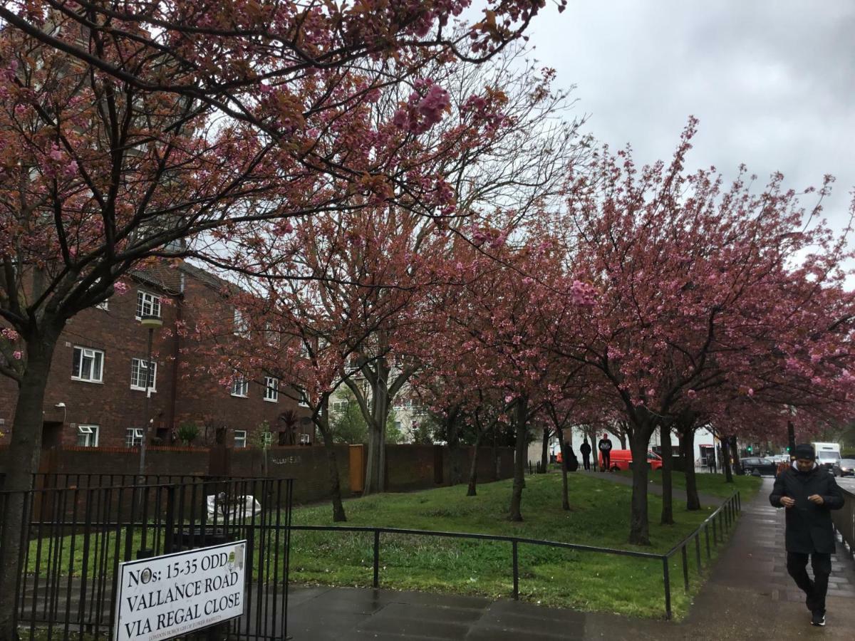 Al Iram Casa de hóspedes Londres
