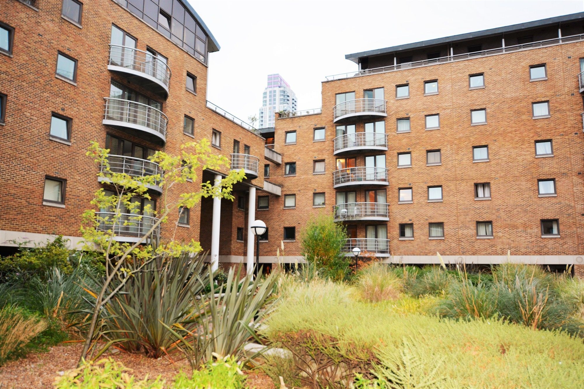 Zen - Docklands London