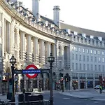 Zedwell Capsules Piccadilly