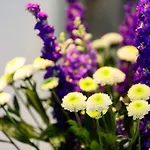 Veeve - Camden Mews Terrace