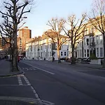 Rex Hotel