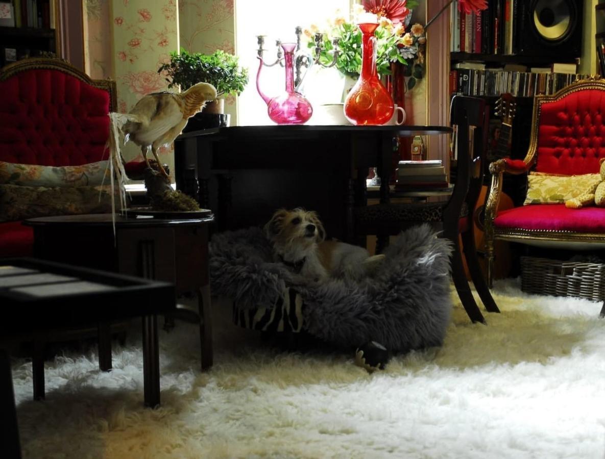 Boutique Bijoux Garden Flat In Vibrant Oval Apartment *