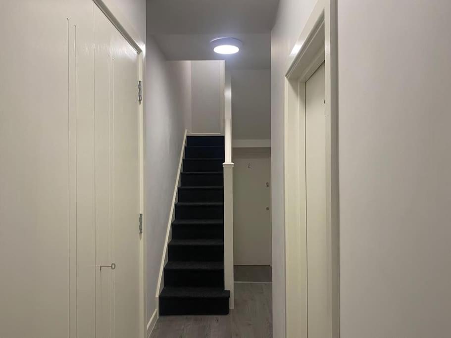 Apartment Private Garden 1bed Studio Apart Battersea Perfect For Coupled Or Solo Travellers Pet Friendly Free Netflix & Wifi London