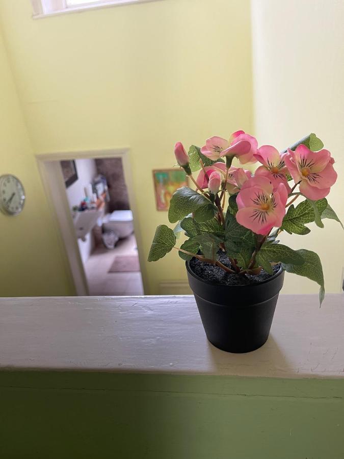 Kensington Flat With Roof Terrace And Sunshine London