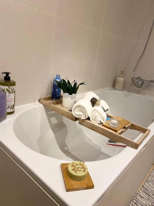 Apartment Ivy House-period Garden Flat Chelsea/fulham London