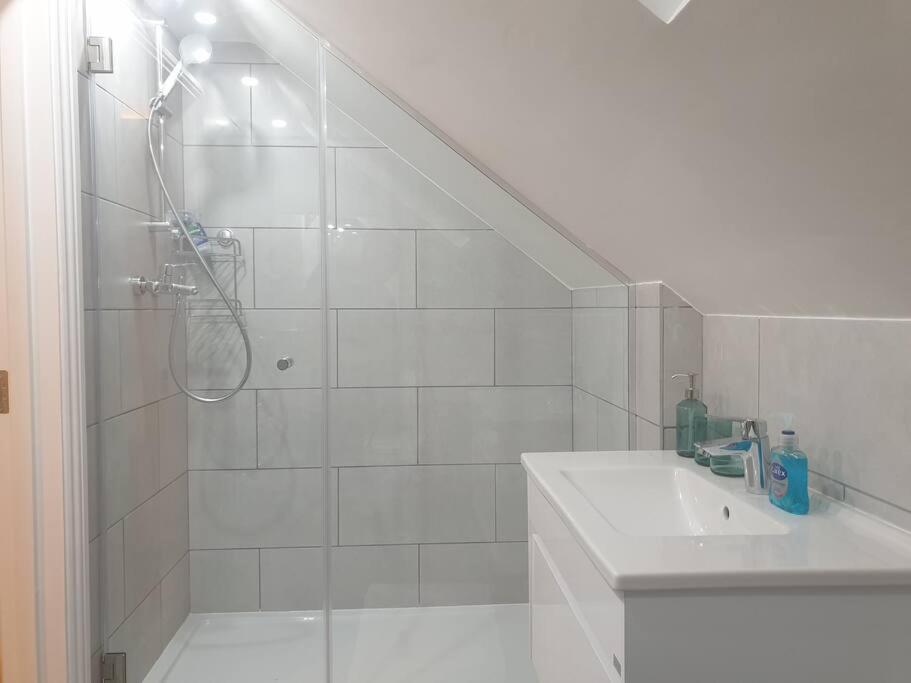 New - Bright Studio Loft King Bed In Quiet Street Near Parks 1074 Lo Apartment *