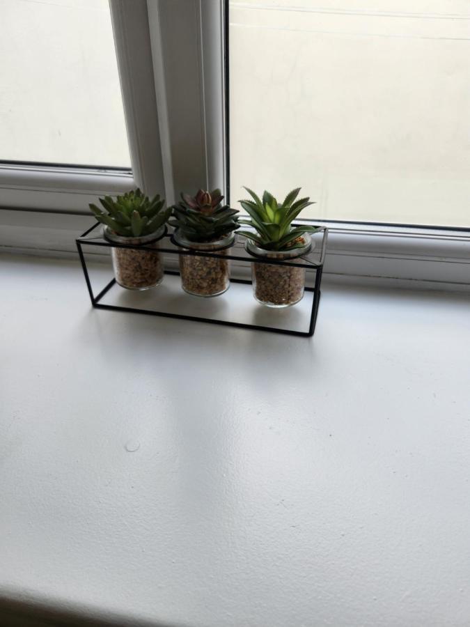 Apartment Sparrow & Pad 5 *