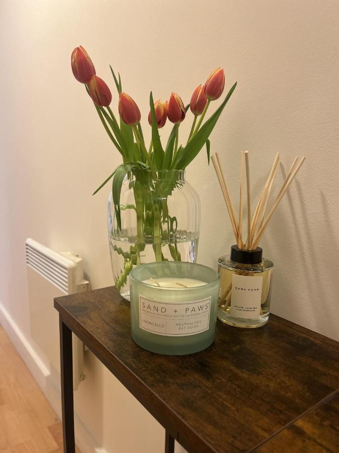 Spacious Mews Apartment, Clapham Apartment *