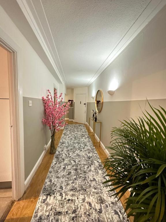 Hyde Park Three Bedroom Apartment