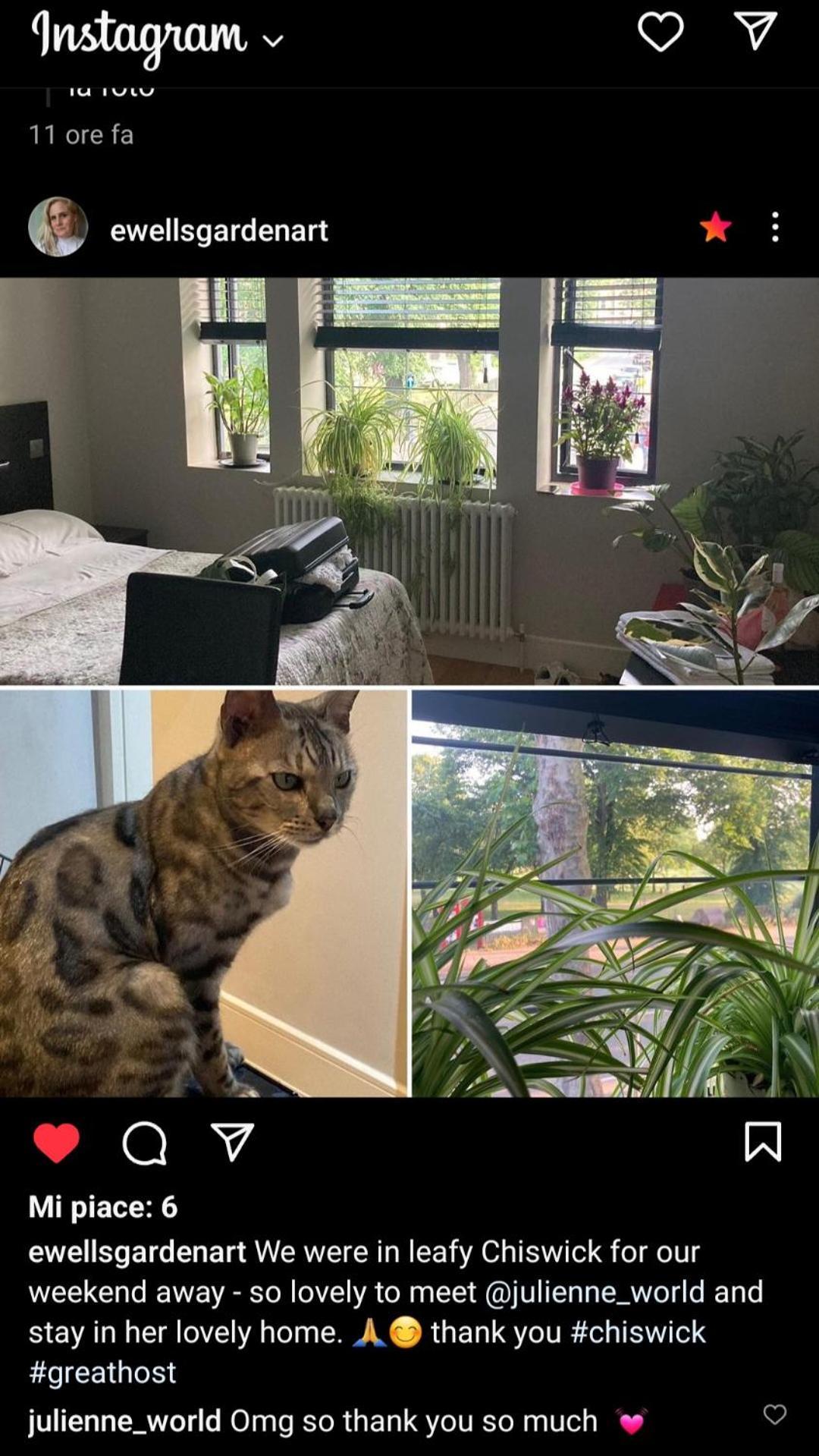 Superior King Guest house