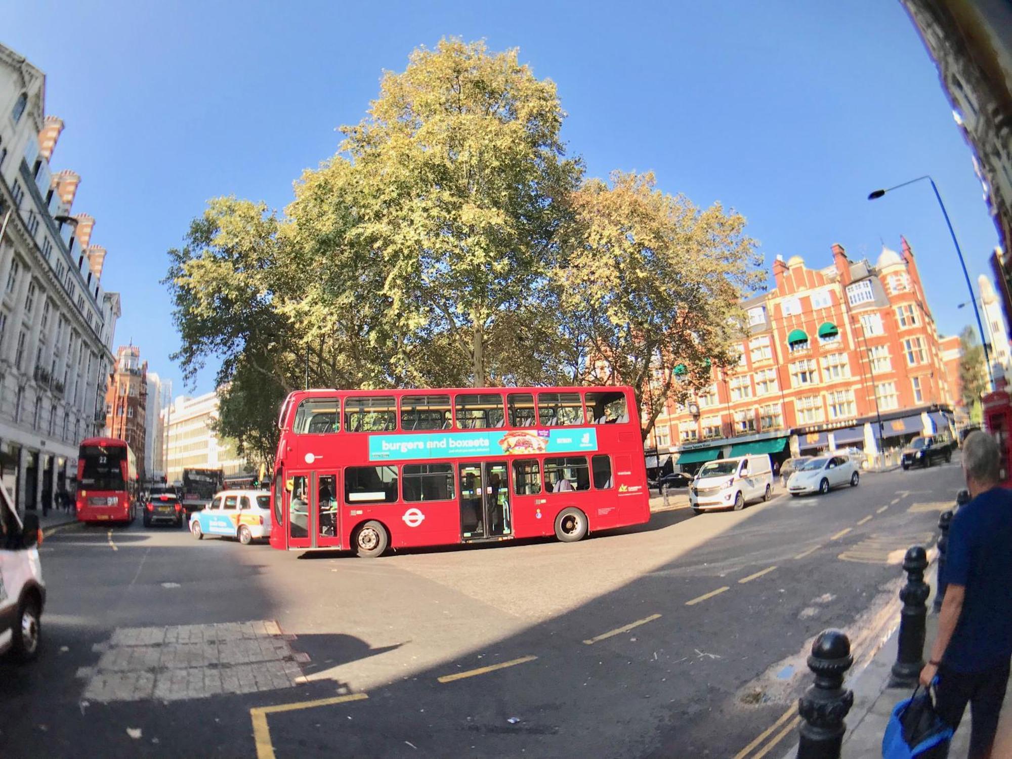 Homestay Victoria Belgravia Townhouse London