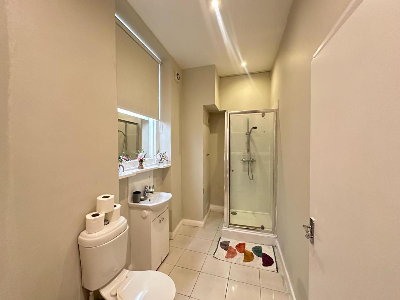 Comfortable One Bedroom Eye Apartment London