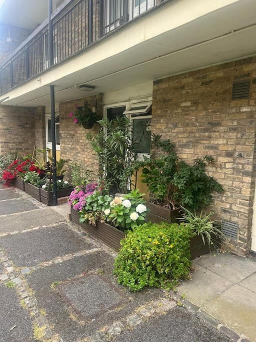 Beautiful 1 Bedroom House With Garden Apartment London