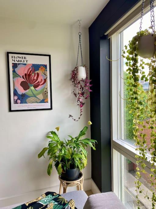 Urban Rainforeast, By Brick Lane E1, Family Friendly * London