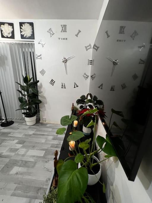 Apartment 1-bed Flat With Fast Wi-fi In Prime Location 15mins From *