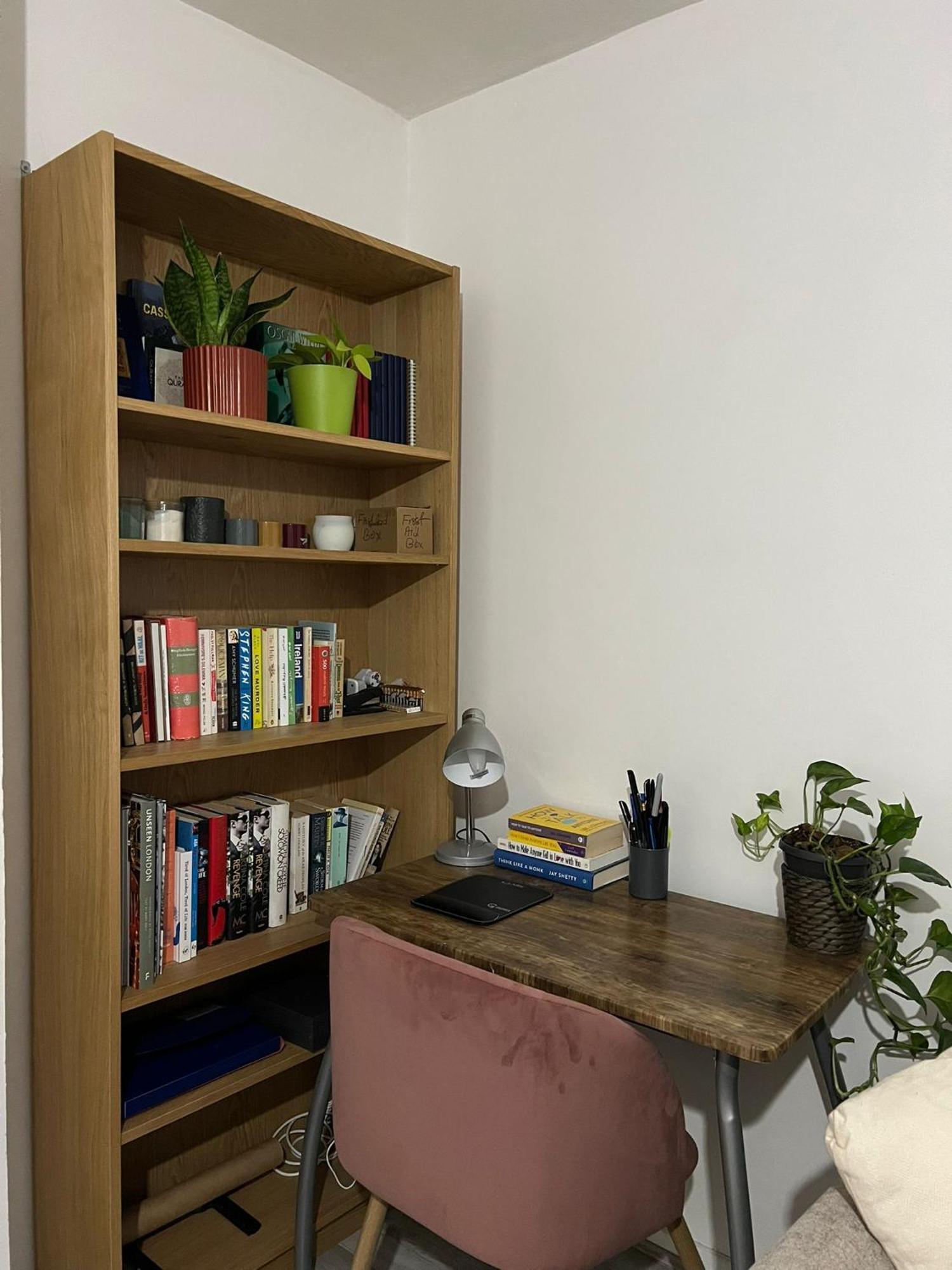 Apartment Budget Friendly In *