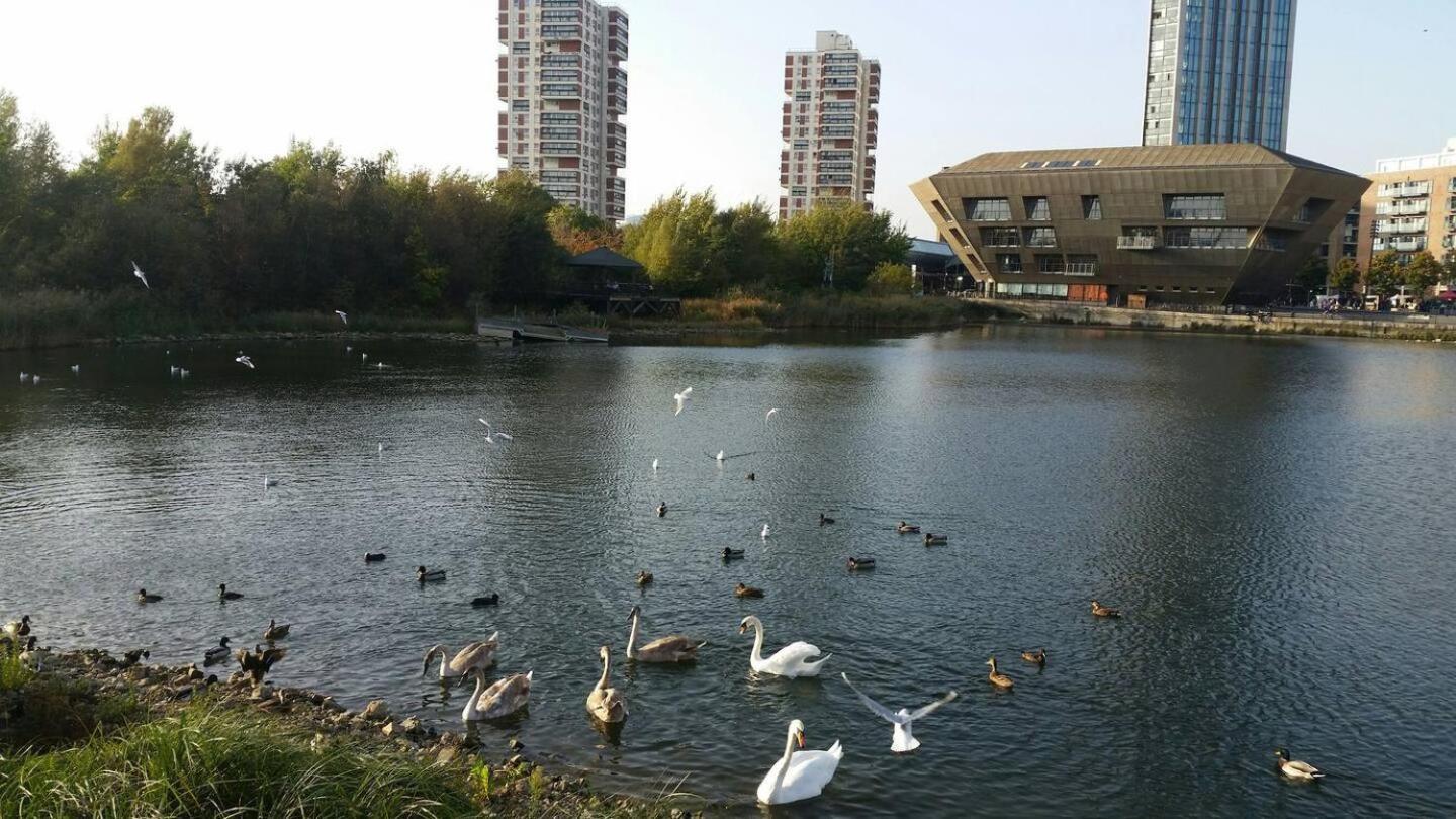 Chic 2-bedroom In Canada Water, - Stylish Retreat Near The River Thames Apartamento Londres