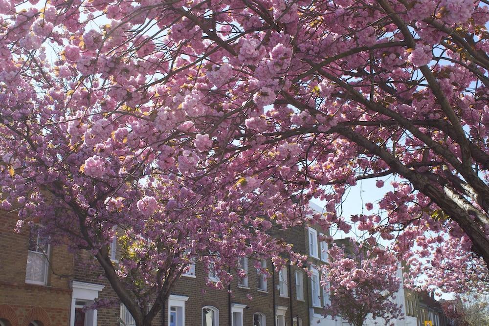 Apartamento Kensington Olympia