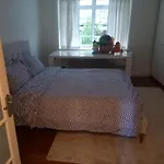 Huge Hyde Park Apartment Of Ca. 300 Sqm
