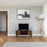 The Bow Collection