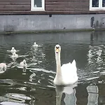 Lovely Canal Boat In Little Venice For Family & Friends