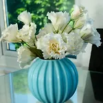 Tranquil 1Bd In Action