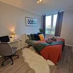 New, Refurbished Modern & Spacious 1 Bed Flat Westfield Shepherd\'S Bush Free Wi-Fi Super King Bed
