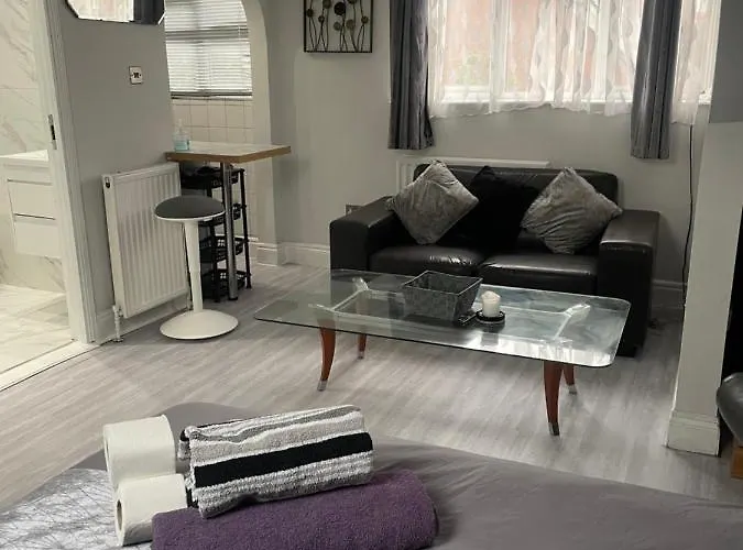 Newly Renovated Studio In Acton