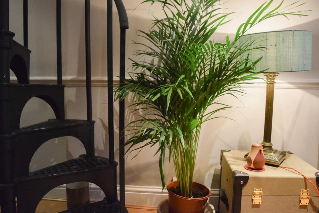 Stylish And Spacious With Terrace London