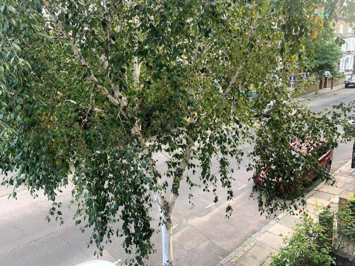 Lovely Spacious 1-bedroom Flat In Tufnell Park Close To London