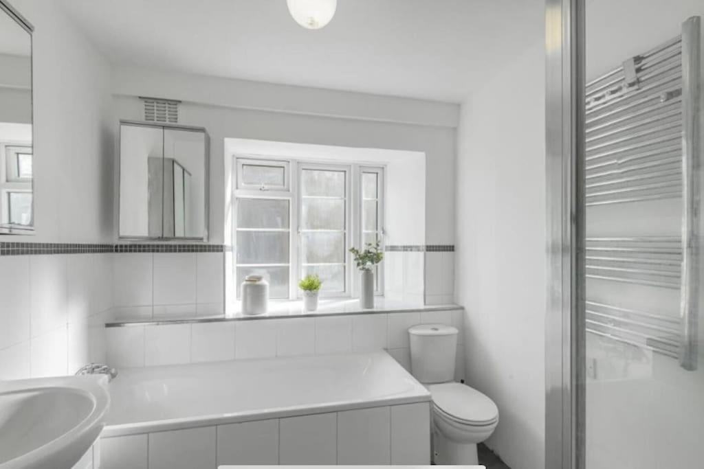 Stunning Flat With Roof Terrace In Streatham Apartment *