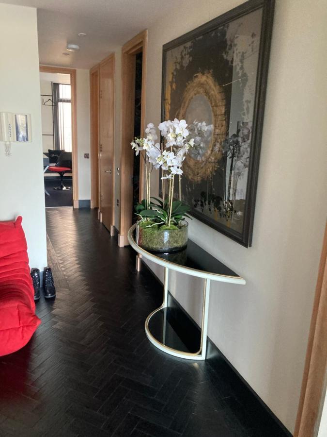 Apartment Luxury Designer River View Of Parliament Westminster Big Ben.